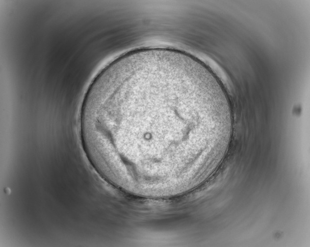 X0000101961191200808151308