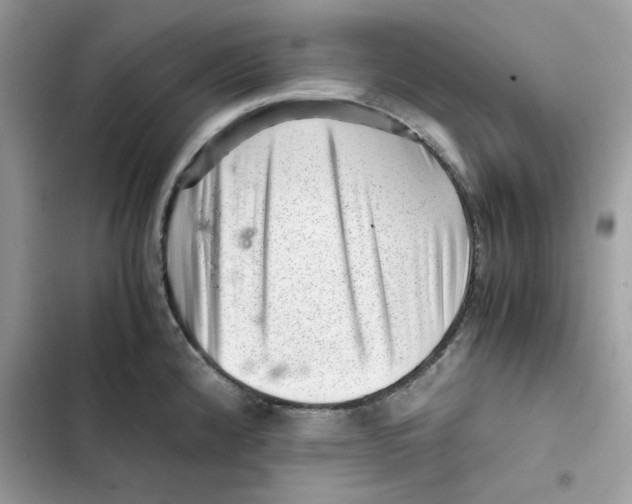 X0000101961192200808151308