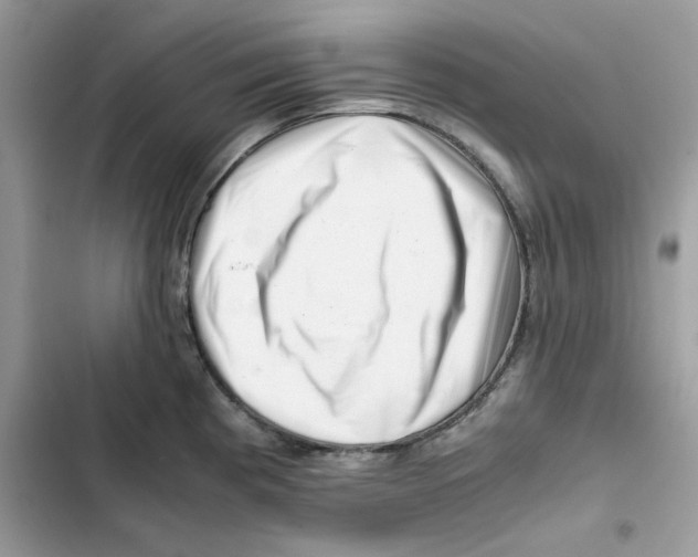 X0000101961193200808151308