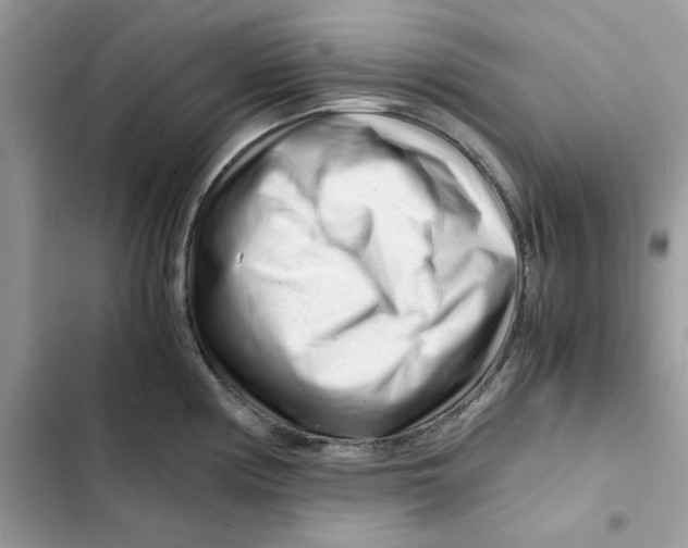 X0000101961194200808151308