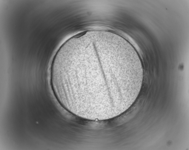 X0000101961195200808151308