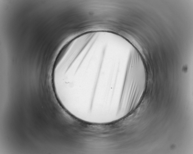 X0000101961197200808151308