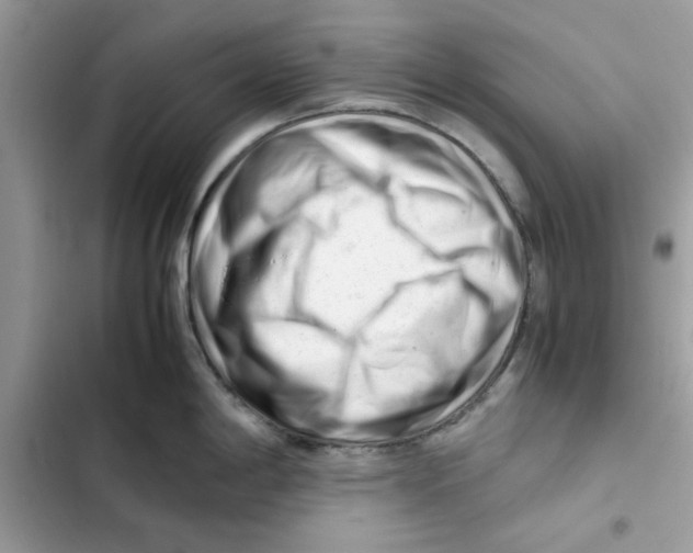 X0000101961198200808151308
