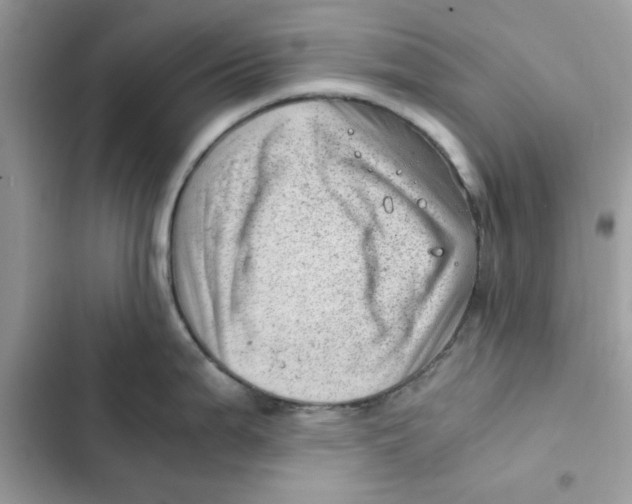 X0000101961199200808151308