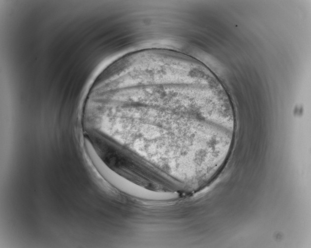 X0000101961200200808151308