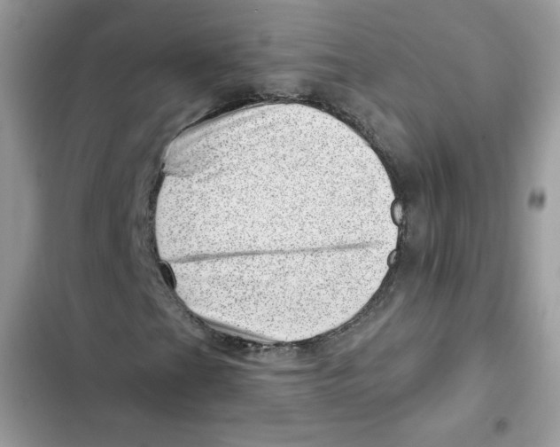 X0000101961201200808151307