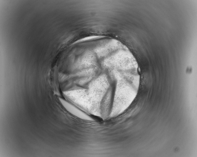 X0000101961202200808151307