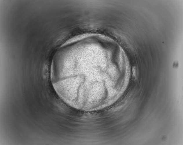 X0000101961203200808151307