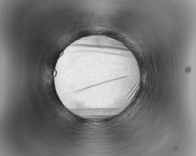 X0000101961204200808151307