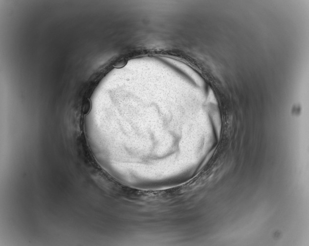 X0000101961205200808151307
