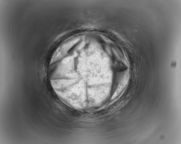 X0000101961206200808151307