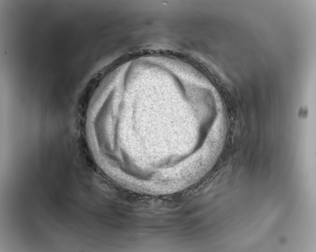 X0000101961207200808151307