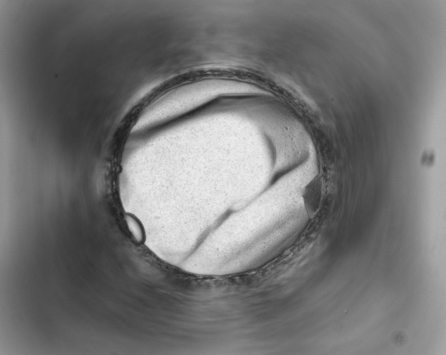 X0000101961208200808151307