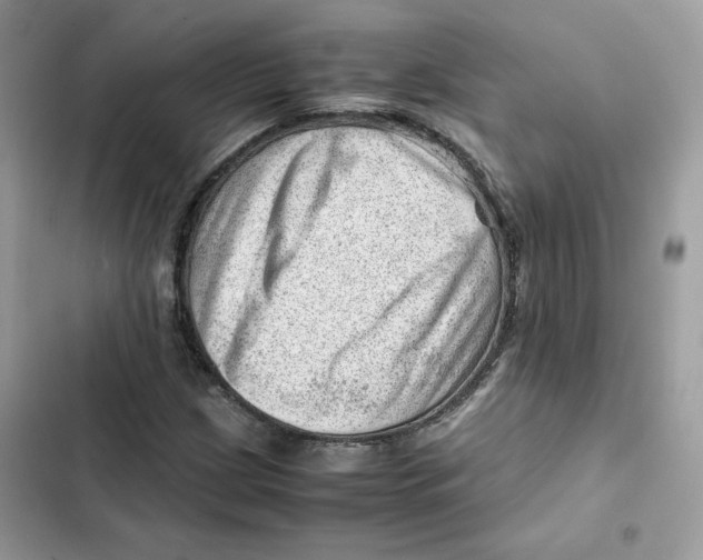X0000101961209200808151307