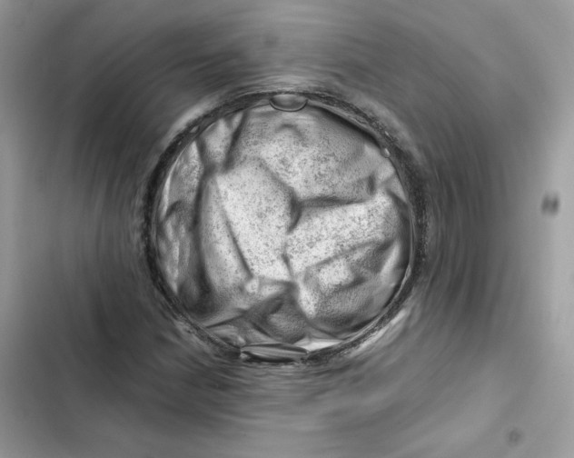 X0000101961210200808151307
