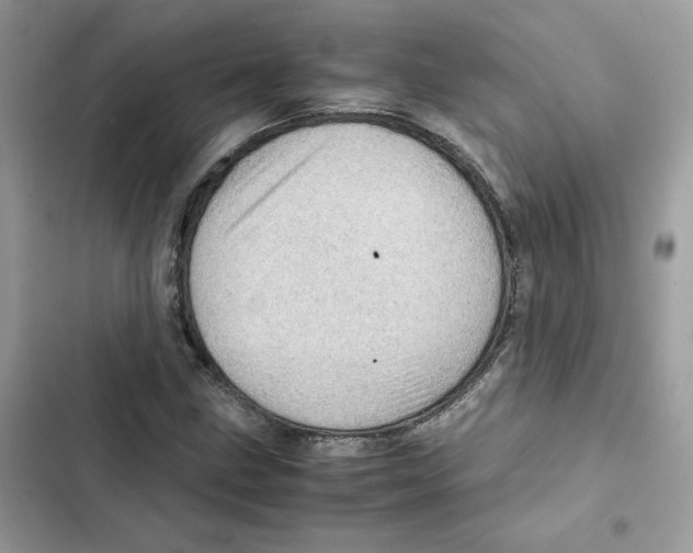 X0000101961211200808151307