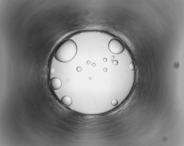 X0000101961212200808151307