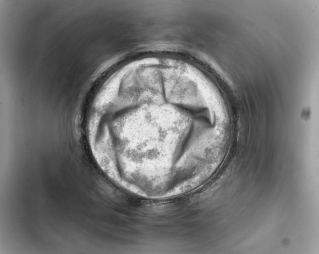 X0000101961213200808151307