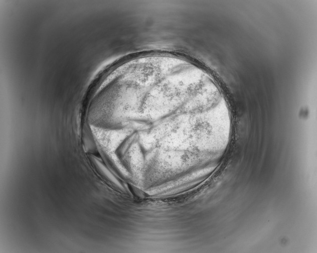 X0000101961214200808151307