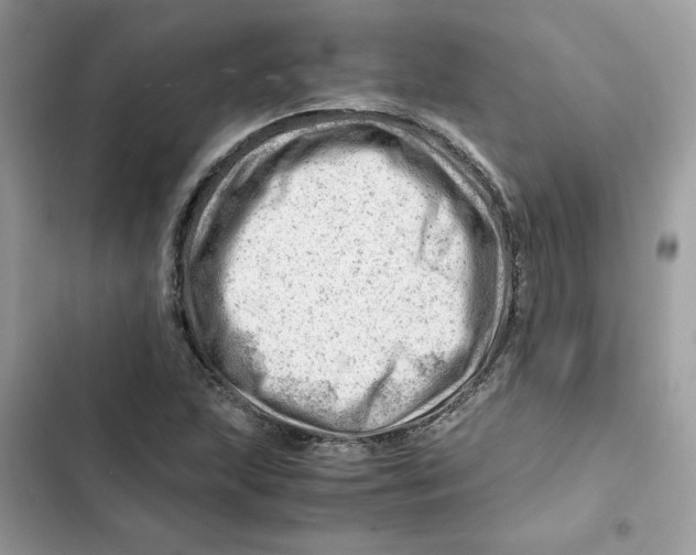 X0000101961215200808151307