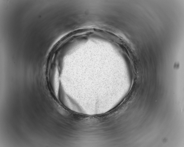 X0000101961216200808151307