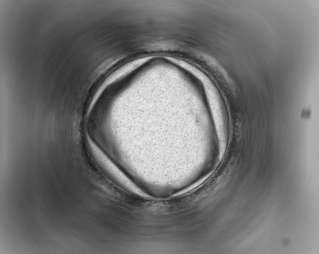 X0000101961217200808151307