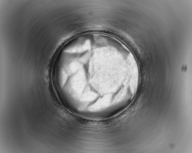 X0000101961218200808151307