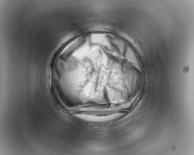 X0000101961219200808151307