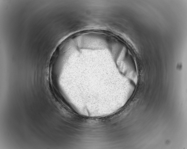 X0000101961220200808151307