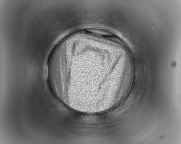 X0000101961221200808151307