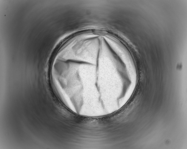 X0000101961222200808151307