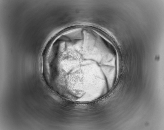 X0000101961223200808151307