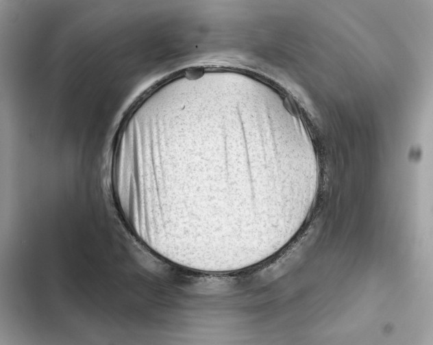X0000101961224200808151307