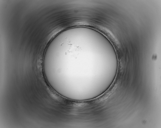 X0000101961225200808151307