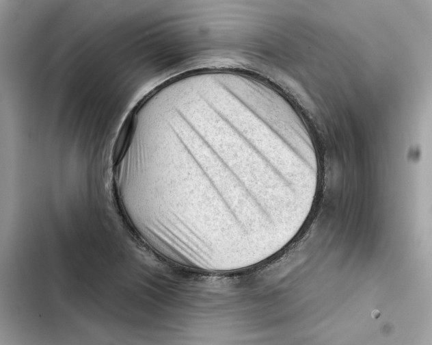 X0000101961226200808151307