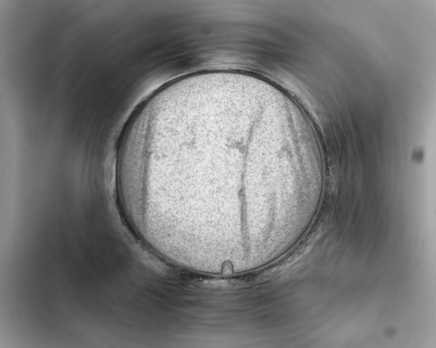 X0000101961227200808151307