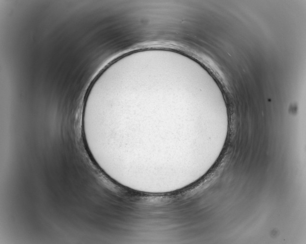 X0000101961228200808151307