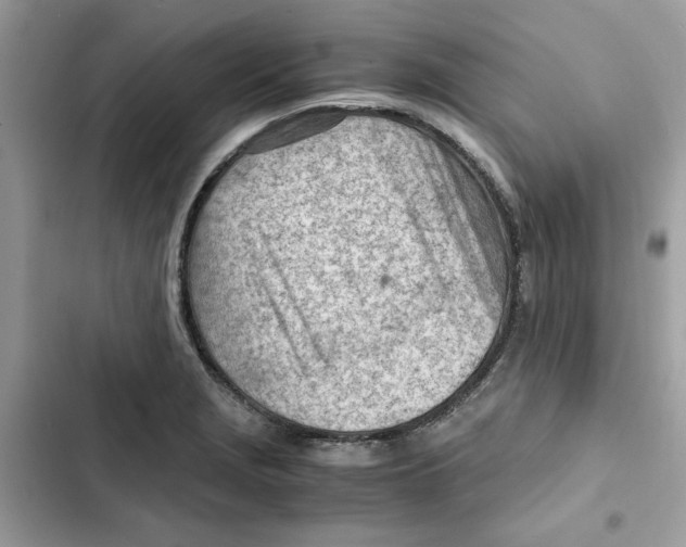X0000101961229200808151307