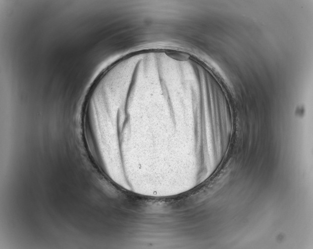 X0000101961230200808151308