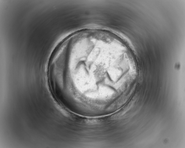X0000101961231200808151308