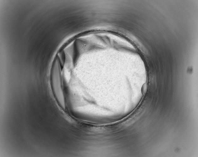 X0000101961232200808151308