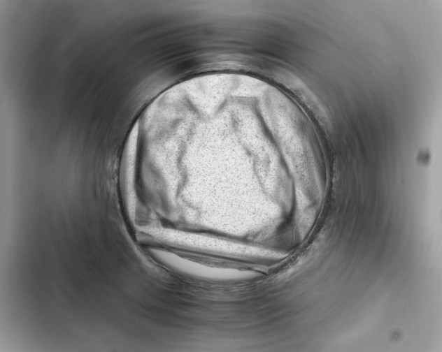 X0000101961233200808151308