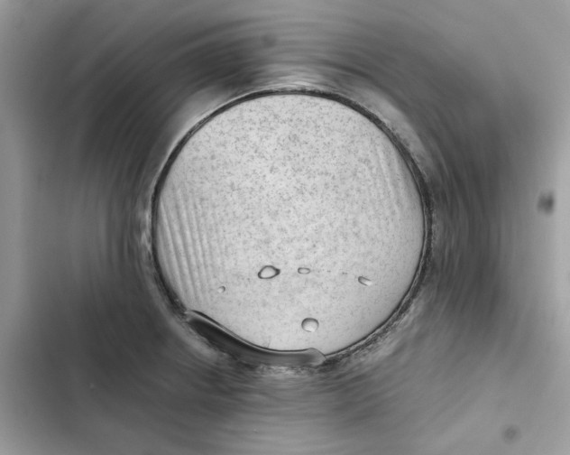 X0000101961234200808151308