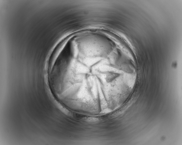 X0000101961235200808151308