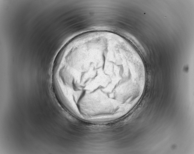 X0000101961236200808151308