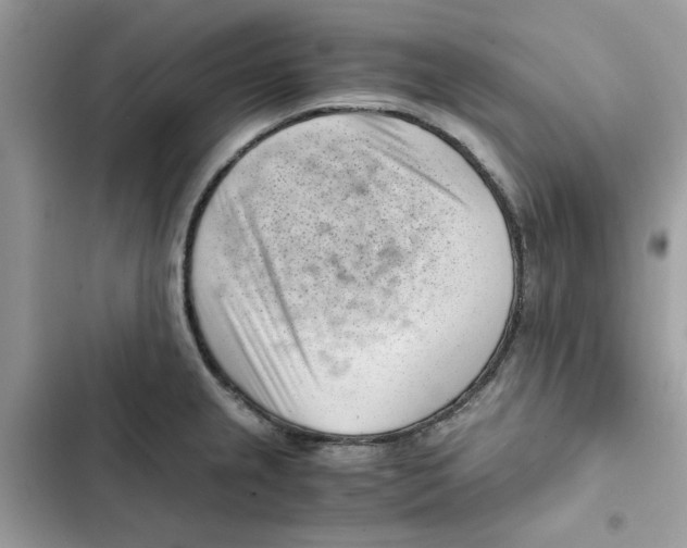 X0000101961237200808151308
