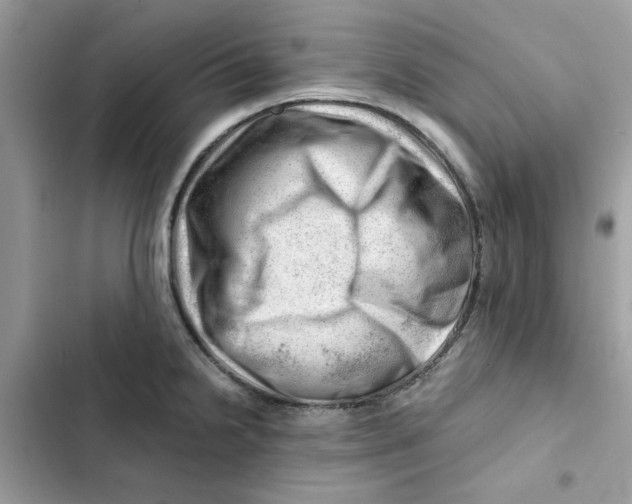 X0000101961238200808151308