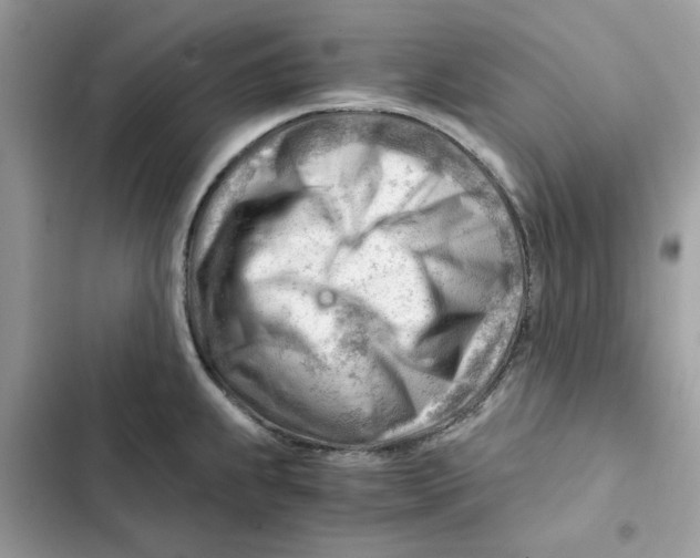 X0000101961239200808151308