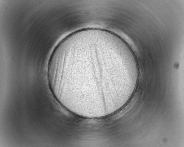 X0000101961240200808151308