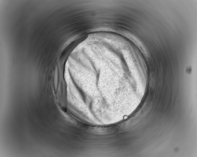 X0000101961241200808151308